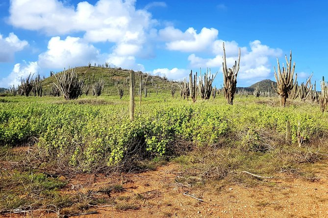 Washington Slagbaai National Park Tour in Bonaire - Pickup and Drop-off
