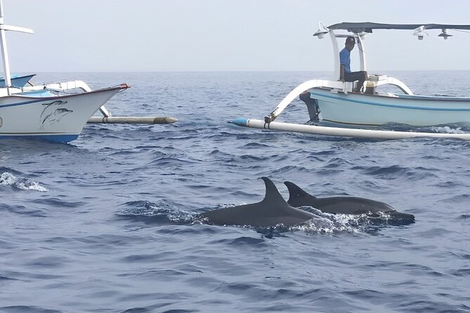 Watching Dolphin Tour at Lovina Beach - Health and Safety Considerations