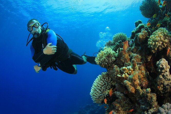 Watersports Activities, Fishing and Scuba Diving in Falmouth - Participant Requirements