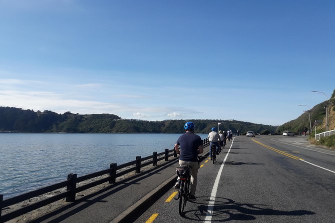 Wellington Electric Bike Tour - Participant Requirements