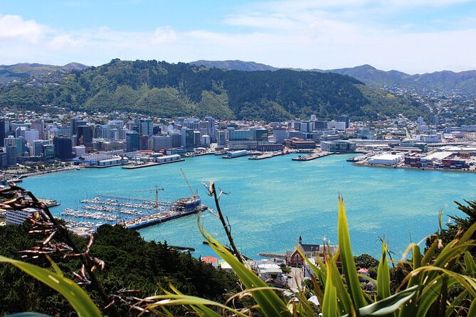 Wellington Shore Excursion City Sightseeing Tour - Accessibility Features