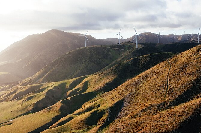 Wellington South Coast Discovery Helicopter Flight - Tips for Travelers