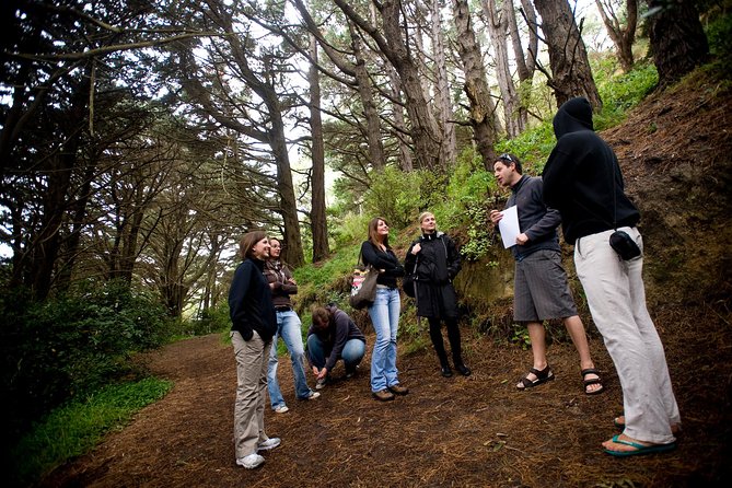 Wellingtons Full Day Lord of the Rings Tour Including Lunch - Traveler Experiences