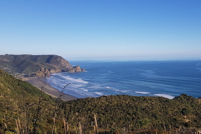 West Coast Discovery - Piha Beach or Muriwai Beach From Auckland - Flexibility and Customization Options