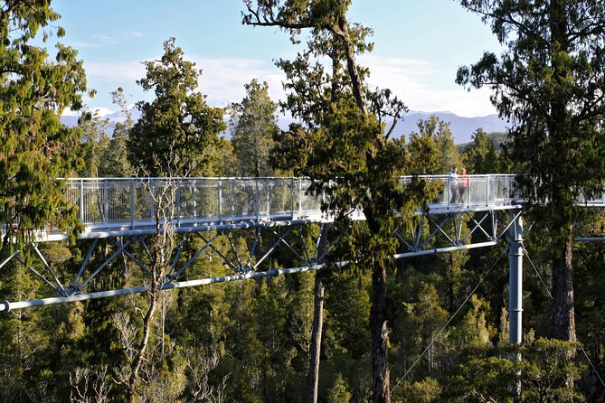 West Coast Tree Top Walk Experience - Accessibility Features