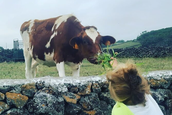 West Coast Van Tour (Half Day) | Terceira Island - Artisan Cheese Tasting