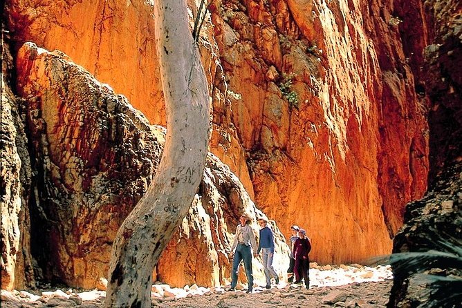 West Macdonnell Ranges Day Trip From Alice Springs - Wildlife Sightings