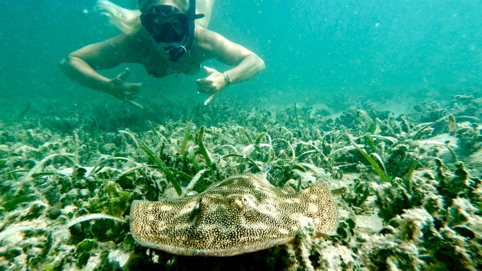 West Palm Beach: Beginner Jet Snorkel Tour With Videos - Booking and Cancellation Policy