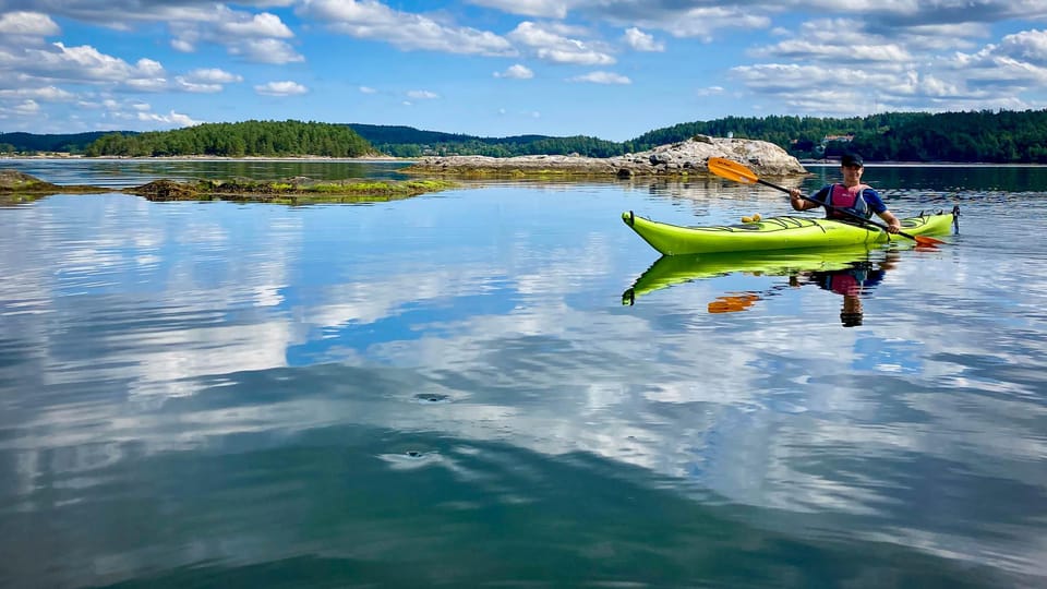 West Sweden: Paddle With Seals - Wildlife Encounters