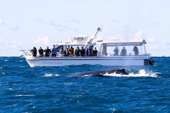 Whale Watching Boat Trip in Sydney - Pricing and Cancellation Policy