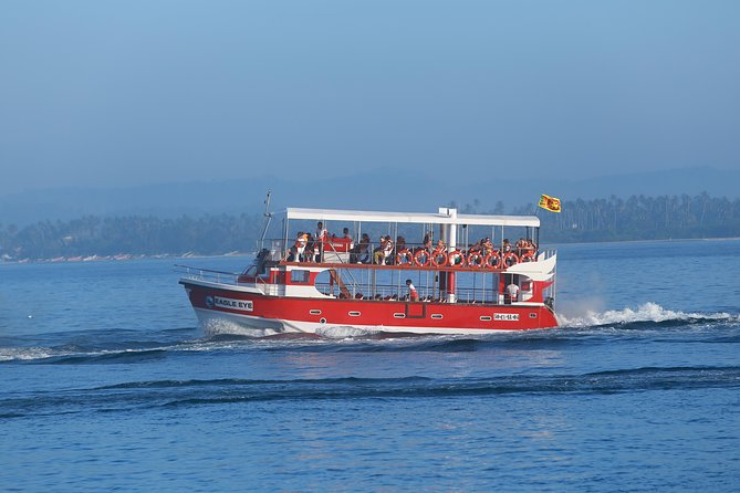 Whale Watching Mirissa With Eagle Eye - Recommended for Travelers