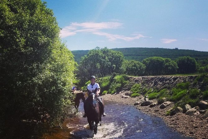 Wicklow Mountains Horse Trekking - Experience Highlights