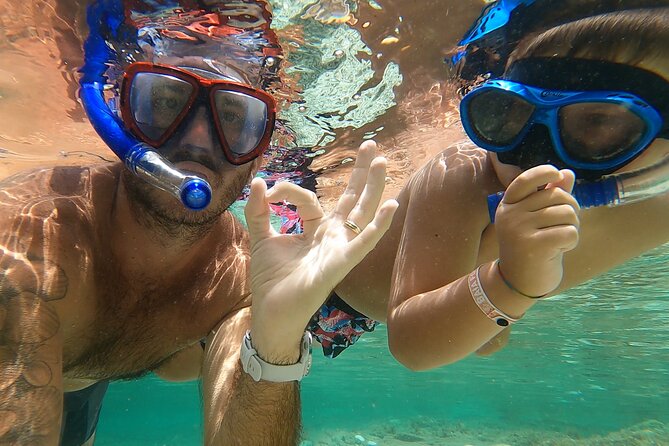 Wild Beaches & Snorkeling Tour - Health and Safety Protocols