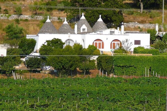 Wine Ostuni, Tour of an Apulian Winery With Traditional Lunch or Aperitivo - Authentic and Personal Experience