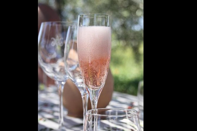 Wine Tasting and Winery Tour - Meeting Point and Directions