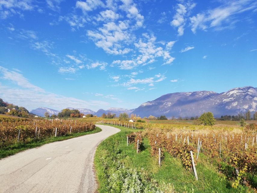 Wine Tour With Private Driver - 10 Hours - Accessibility Features