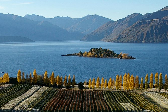 Wine Tour With Wine Tasting From Wanaka - Traveler Reviews and Testimonials