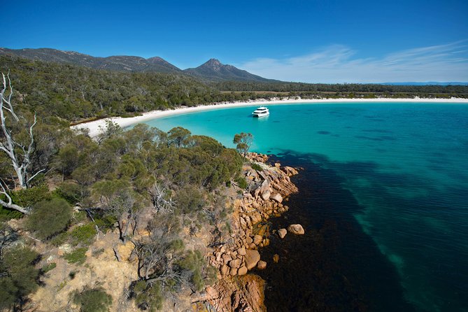 Wineglass Bay Cruise From Coles Bay - Guest Reviews and Ratings