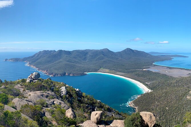 Wineglass Bay & Freycinet NP Full Day Tour From Hobart via Richmond Village - Wildlife Viewing Opportunities