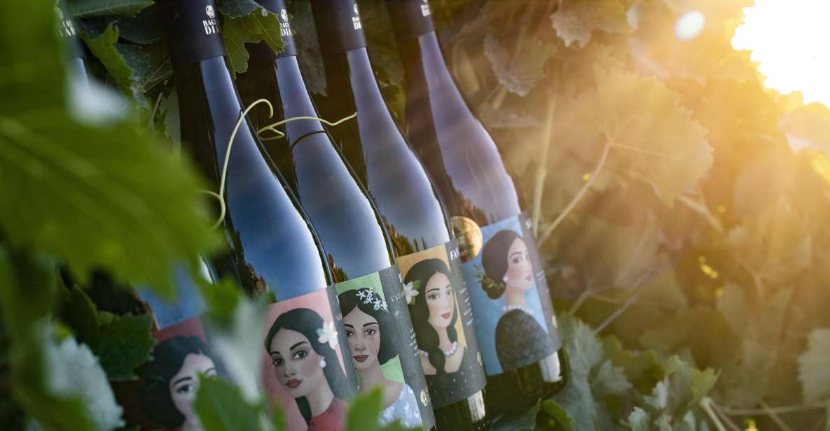 Winery Tour and Tasting of Sicilian Organic Wines in Marsala - Winery Highlights