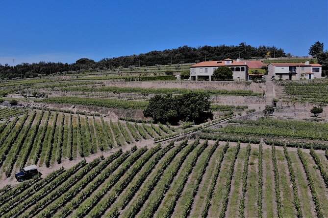 Winery Tour and Wine Tasting at Quinta Da Portela De Baixo in Lamego - Booking Information