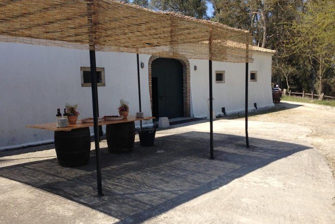 Winery Tour With Wine and Olive Tasting in Corfu - Customer Reviews and Ratings