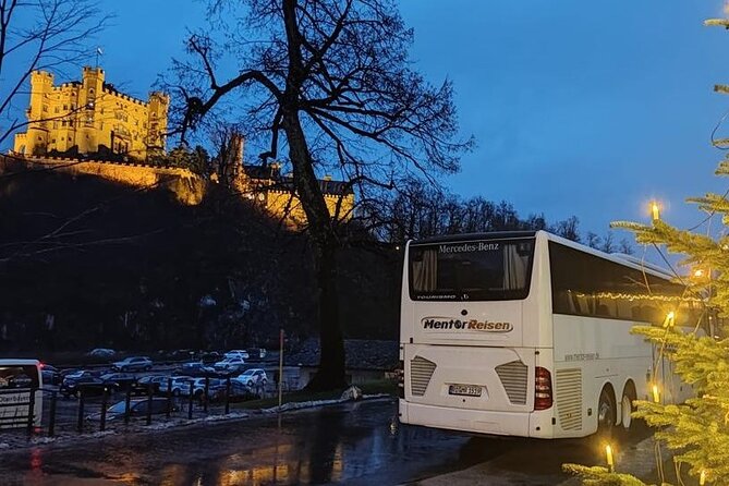 Wintertour to Neuschwanstein Castle From Munich - Traveler Feedback and Reviews