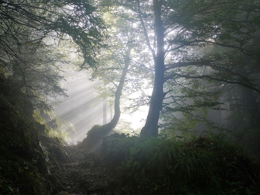 Witches, Ghosts, Executioners City Tour - Supernatural Phenomena