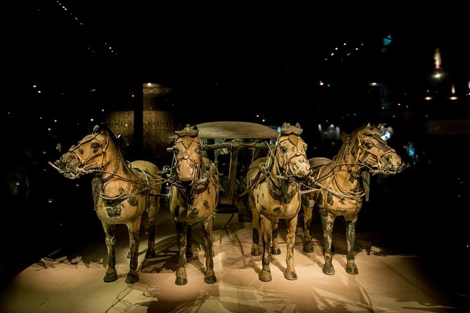 Xian Terracotta Warriors & and Horses Highlight Day Tour - Tour Exclusions