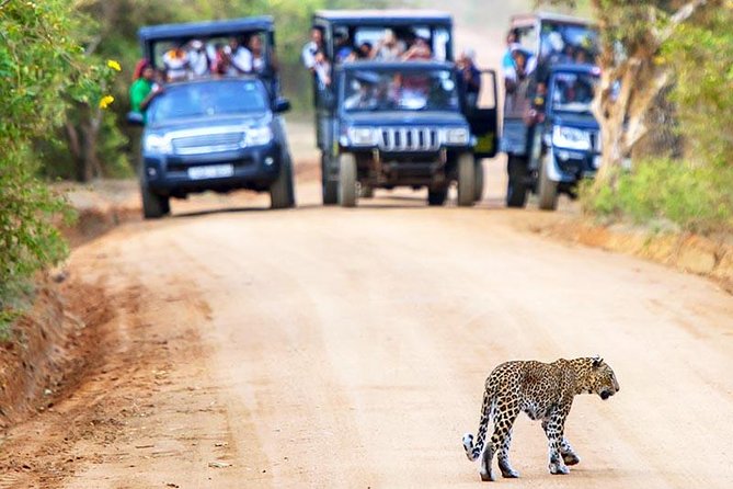 Yala National Park Safari Experience From Galle Including Lunch at a Campsite - Booking Information
