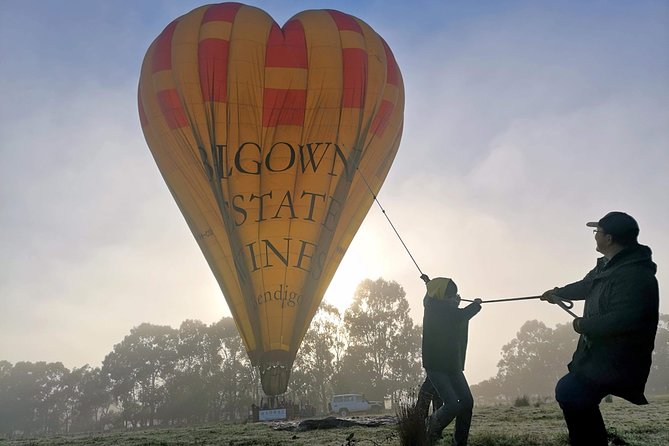 Yarra Valley Balloon Flight at Sunrise - Accessibility Considerations