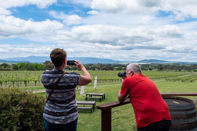 Yarra Valley Wine and Winery Tour From Melbourne - Accessibility Guidelines