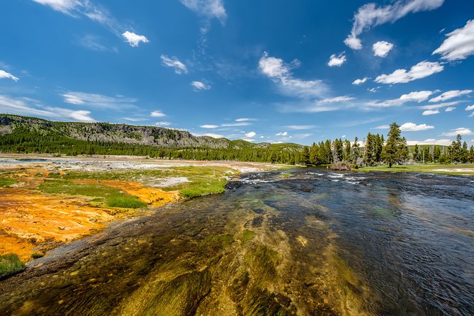 Yellowstone Full Day Private Tour - Customer Experiences and Testimonials