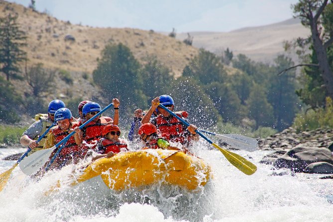 Yellowstone River 8-Mile Paradise Raft Trip - Experience and Rapids