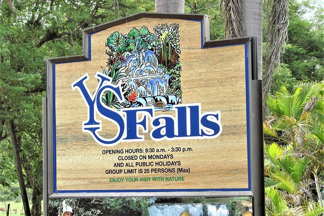 YS Falls and Black River Safari Guided Tour From Montego Bay and Grand Palladium - Wildlife and Nature Experience