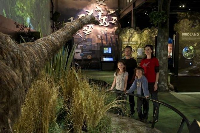 Zealandia Small Group Eco Wildlife Night Tour - Reviews and Traveler Experiences