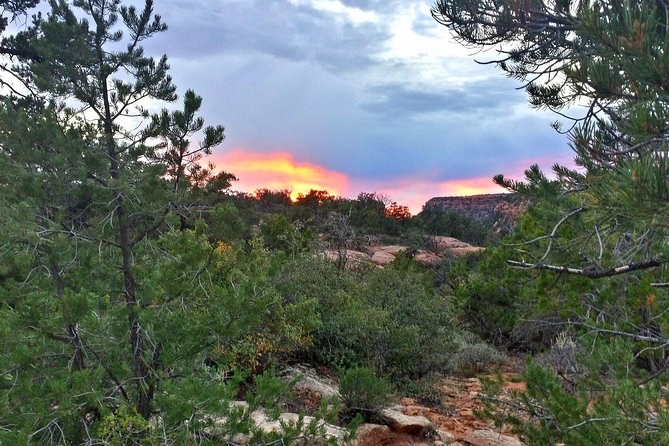 Zion Jeep Tour Premium Package - Afternoon Tour - Accessibility and Age Requirements