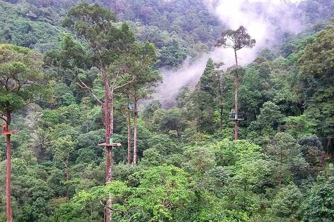 Zip Line Adventure on Mountain (8 Platforms 1200 M.) - Pickup Locations and Information