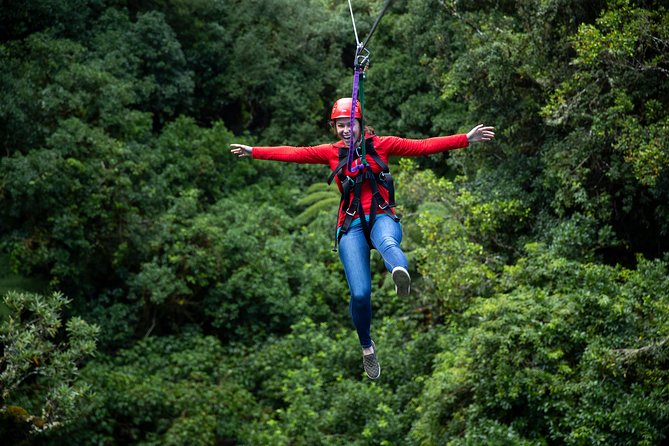 Ziplining Forest Adventure - The Original Canopy Tour Rotorua - Customer Experiences and Ratings