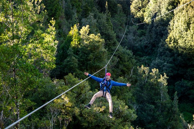 Ziplining Forest Experience - The Ultimate Canopy Tour Rotorua - Customer Reviews and Testimonials