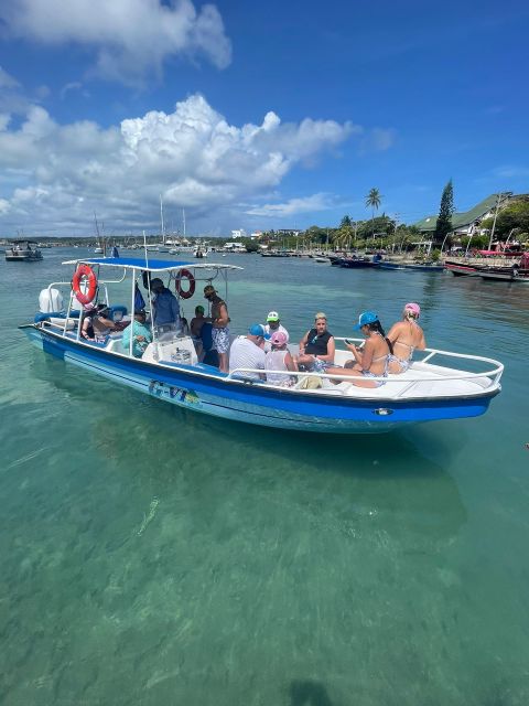 5 IN 1 VIP TOUR: OPEN BAR ON SPORTS BOAT - Key Points
