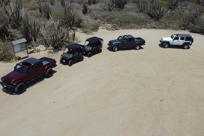5 Seat UTV 8hour Rental - Overview of the Rental Experience