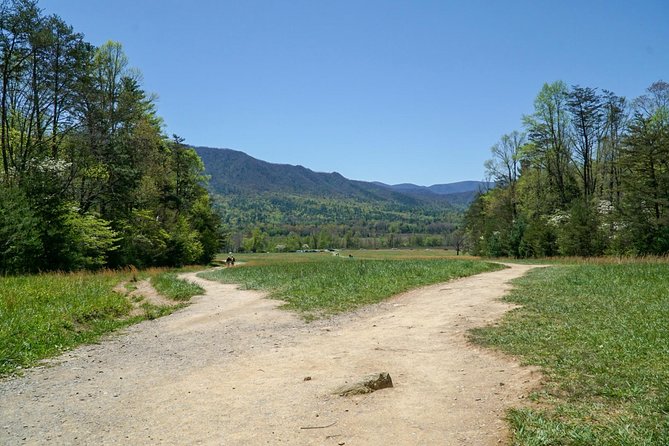 1 Day Jeep Rental Through the Smoky Mountains - Booking and Payment Options