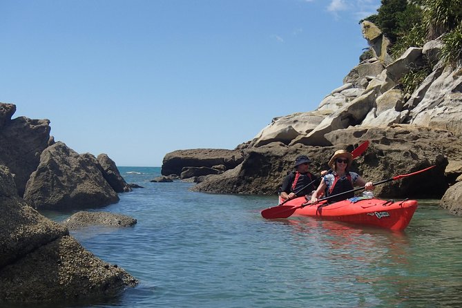 1 Day Sea Kayak Rental - Customer Reviews and Feedback