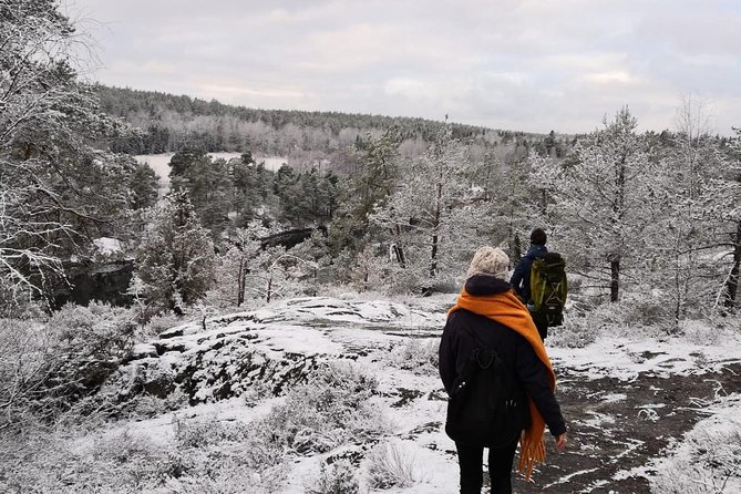 1-Day Small-Group Stockholm Nature Winter Hiking - Customer Feedback and Reviews