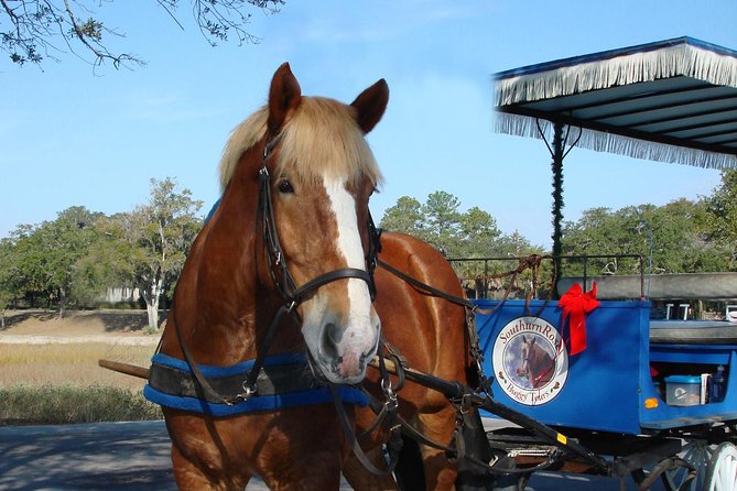 #1 Historical Horse Drawn Carriage Tour - Tips for Enjoying the Tour