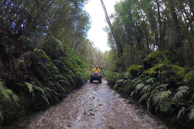 1 Hour Enchanted Forest Track - QUADS - Booking Information and Tips