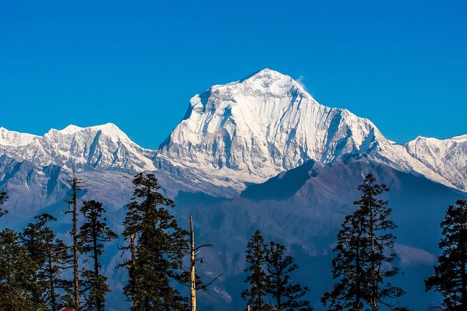 12 Days Trek Tour in Nepal - Experience and Reviews