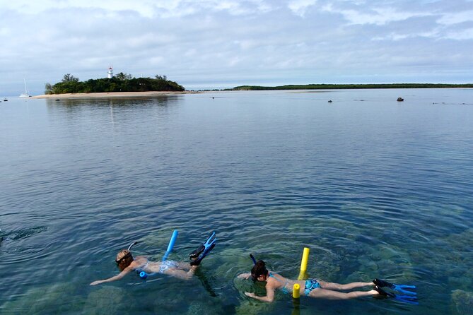 2 1/4 Hr Low Isles Reef Sprinter Snorkelling Tour - Pricing and Booking Information