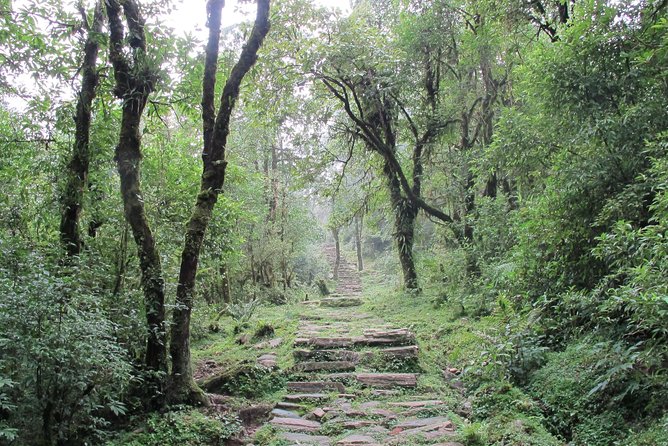 2-Day Private Trekking Tour to Australian Camp & Dhampus - Packing and Preparation